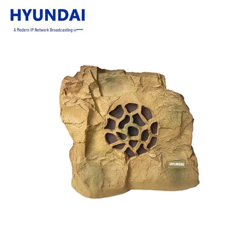 Hyundai IP Network Broadcasting Audio Systems CN plug (adapter included)