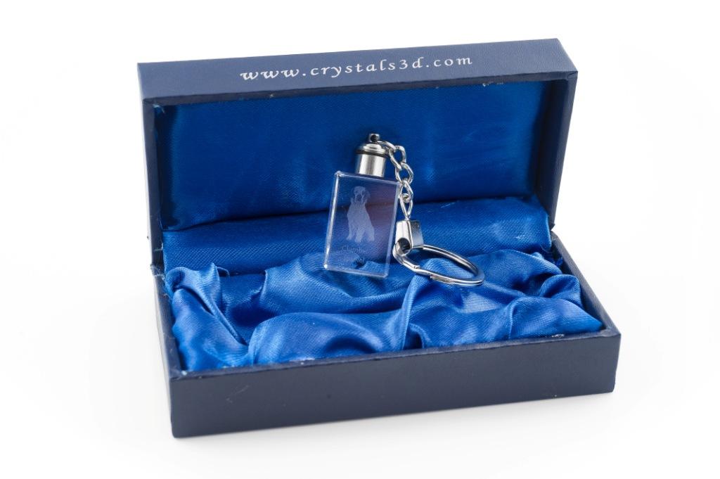 Clumber Spaniel - Crystal Key Ring with Dog Photo, Illuminated Key Ring, Unique Gift by Art-Dog Brand