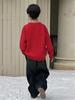 Boys' Non-Pilling Warm Knit Sweater, Korean Style, Long-Sleeved, Autumn/Winter 2025