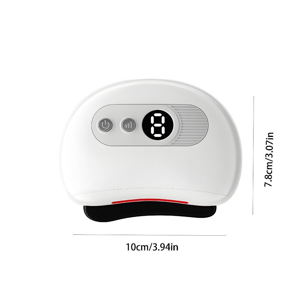 Constant Temperature Electric Scraping Plate Deep Conditioning Face Massager  Professional Use