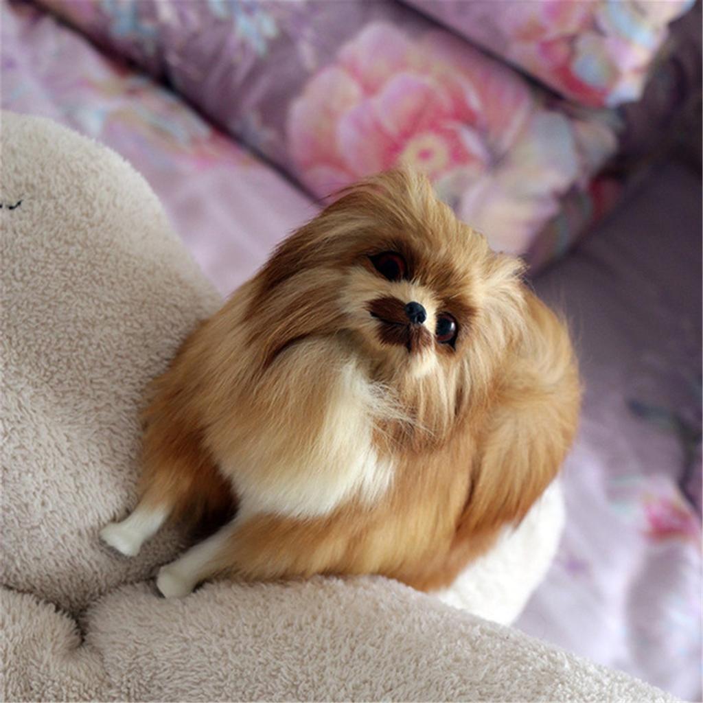 Plush Toys Simulated Pomeranian Dog Toy Animal Model Cute Pomeranian Realistic Plush Toy Gift Pet Toy Decoration GZH Toys GZH168