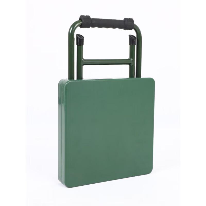 Ningzhao Multifunctional Folding Study & Camping Chair with Table