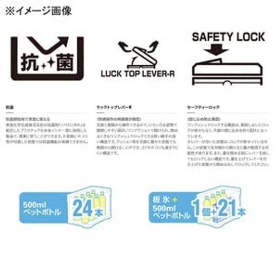 SHIMANO Fixel Light 30L Gray NF-430V