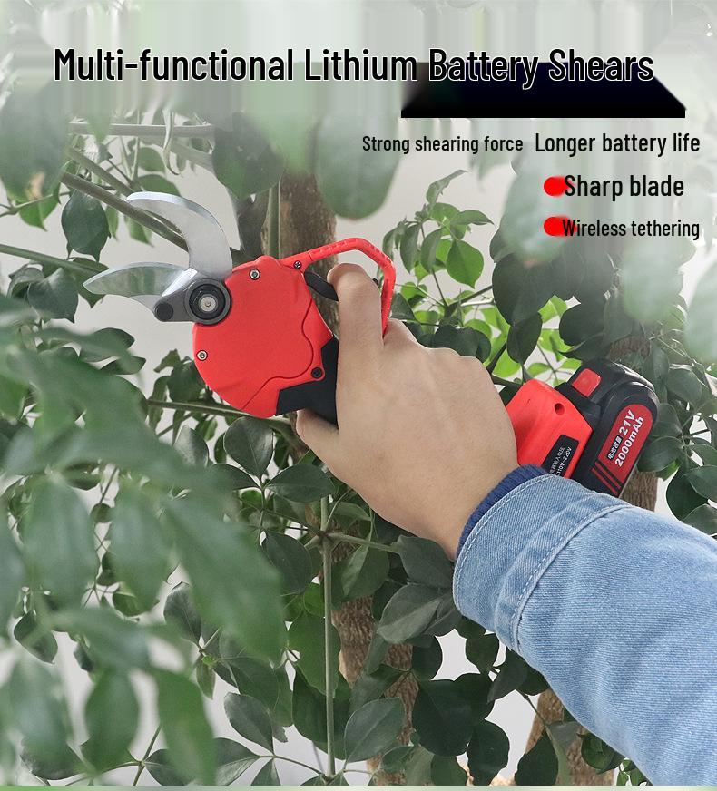 21V Lightweight Electric Pruning Shears with Two Batteries & Charger, 30MM Branch Capacity, Powerful Lithium Battery for Fruit Trees