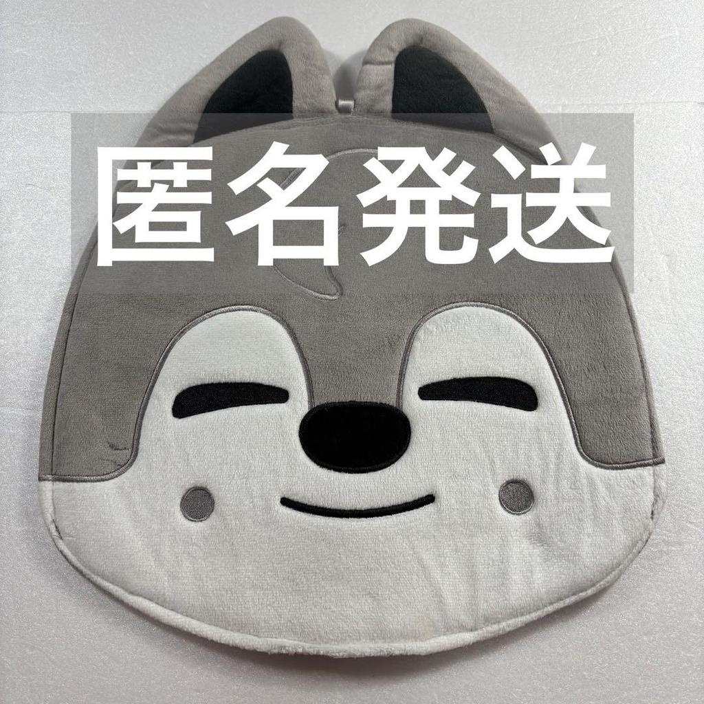 [USED] Stray Kids Wolf Chan Bang Chan Fan Case Fan Cover