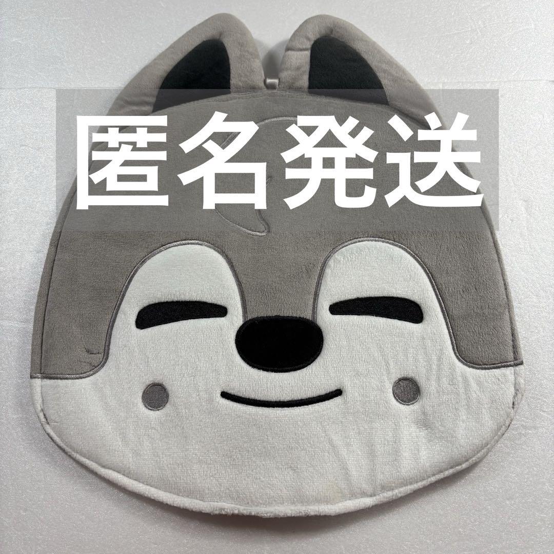 

[USED] Stray Kids Wolf Chan Bang Chan Fan Case Fan Cover