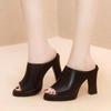 Large Size Summer Trendy New Women's Cool Slippers Thick Heel Mother High Heel anti-Taiwan Hundred Casual Black