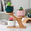 Multi Functional Plant  Pot Storage Rack Household Succulent Pot Sorting Pallet Office Or Balcony Decoration Organizer Shelf