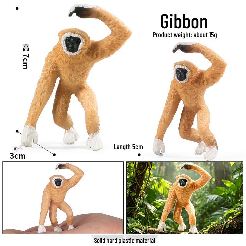 Realistic Animal Heart Model Toy: Lemur, Raccoon, Orangutan, Baboon