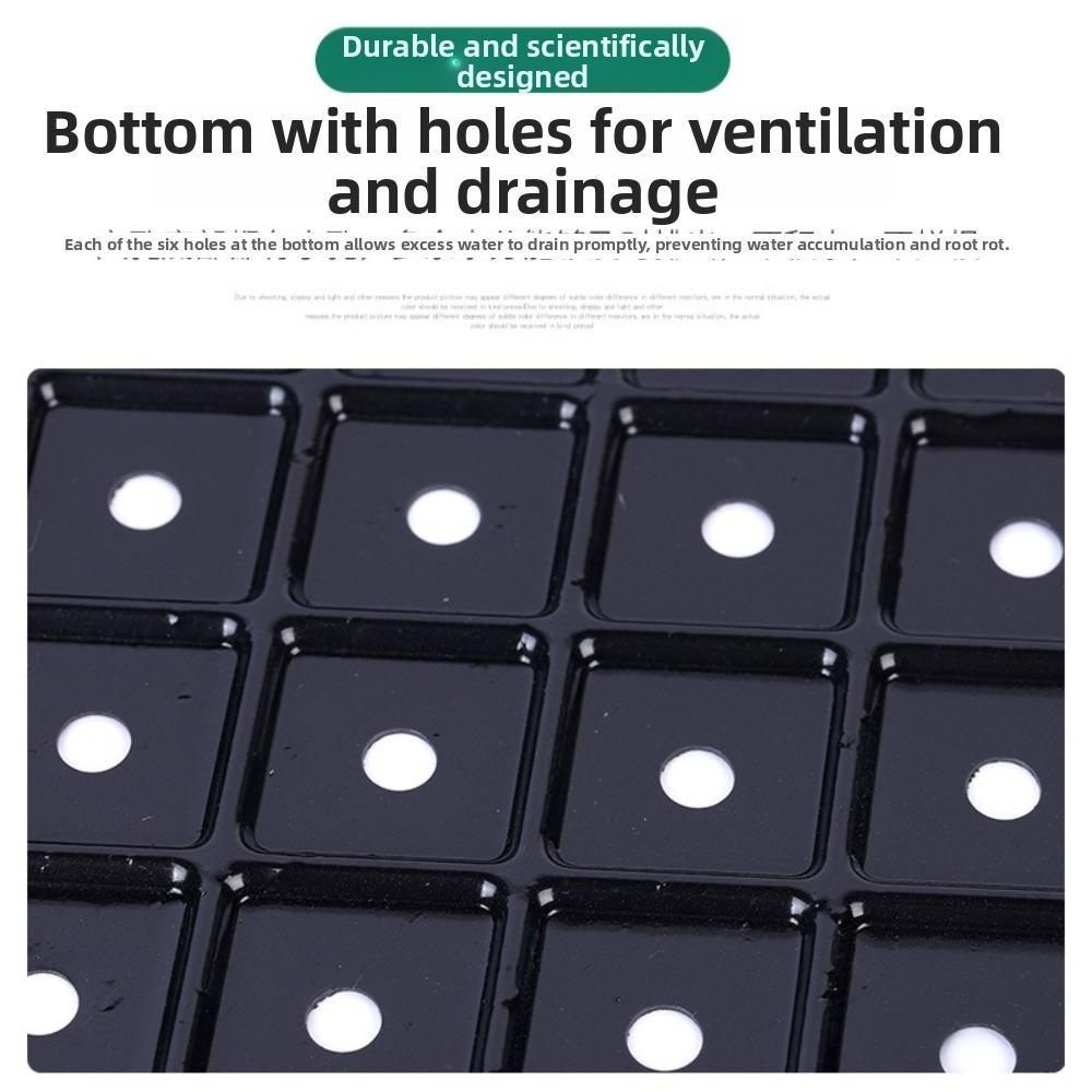 2pcs 54*28cm Seeding Nursery Tray with Holes Succulent Germination Tray Seed Starting Flower Plant Hydroponic Vegetable Tray