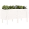Raised Garden Bed White 121x50x57 Cm Solid Pine Wood