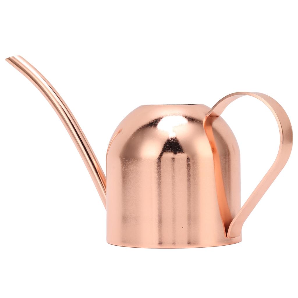 Watering Can for House Bonsai Garden Flower Outdoor Indoor Plants Long Spout Pot Stainless Steel