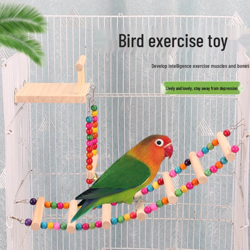 Parrot Climbing & Swing Toy Set for Budgies & Cockatiels