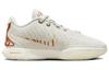 Nike LeBron 21 EP "Akoya" FV2346-001