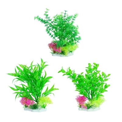 Žuvys ir jūros gyvūnai – Akvariumo dizainas