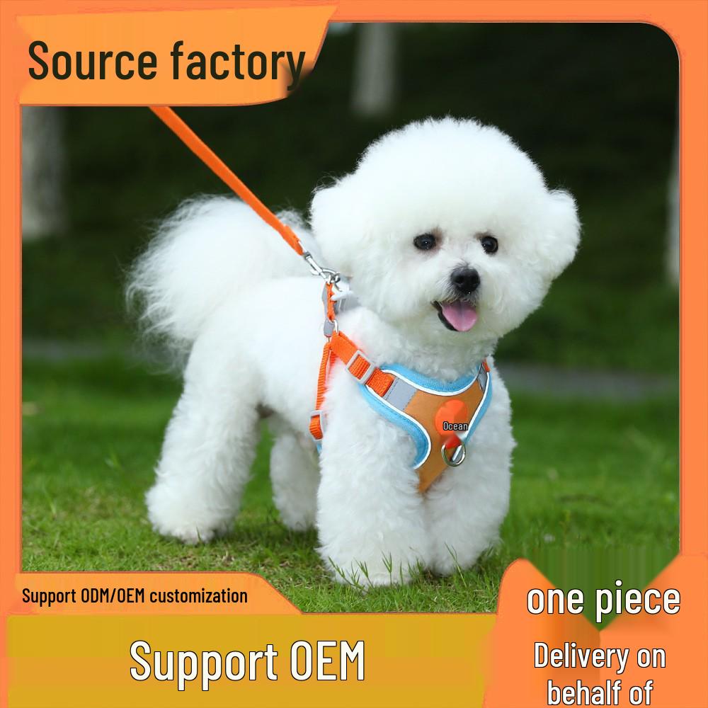 Reflective Adjustable Dog Harness and Leash Set for Small Breeds - Breathable Vest Style