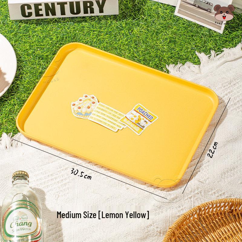 Qiwei Macaron Japanese Style Serving Tray