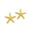 Beach Accessories Summer Seaside Vacation Starfish Natural Conch Earrings Necklace Set