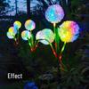 Solar Dandelion Flower Courtyard Light - Outdoor Decorative Onion Ball Atmosphere Lamp