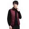 Light Down Jacket Men's Short Autumn and Winter Stand-up Collar Fashion Casual Trend Versatile Warm Jacket Men