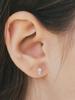 Engbrox [Silver925] Sugarpetal Cubic Earring