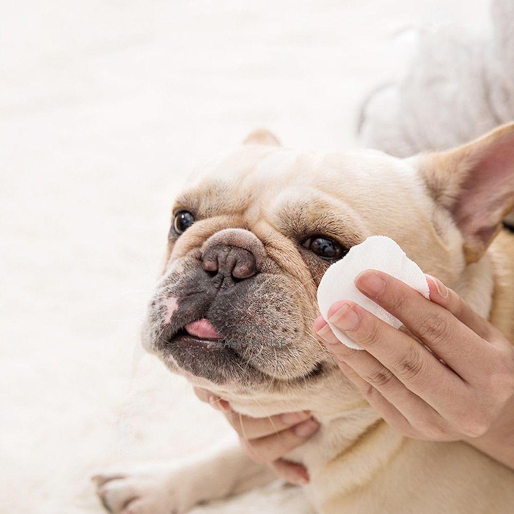 betta fish feeding amount