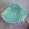 Soft Squeeze Toy Creative Shell Pinching Fun Toy Fuuny Glitter Shell Squishy Toy  Office Use