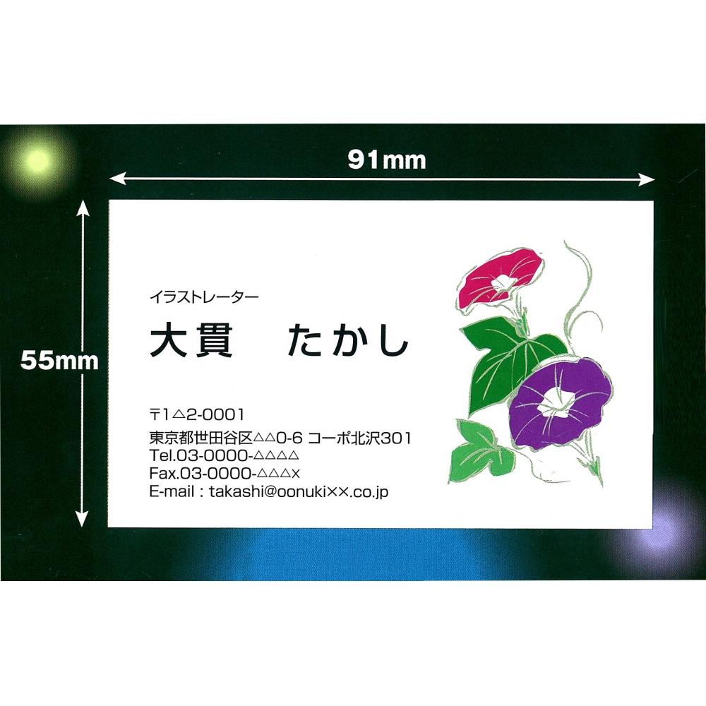 KOKUYO Vizitkový papír pro více tiskáren A4 100 listů Přírodní bílý KPC-VEA15W