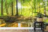 Photomural Beautiful Forest Landscape In Spring In 3D Effect Structural Vinyl 416x254