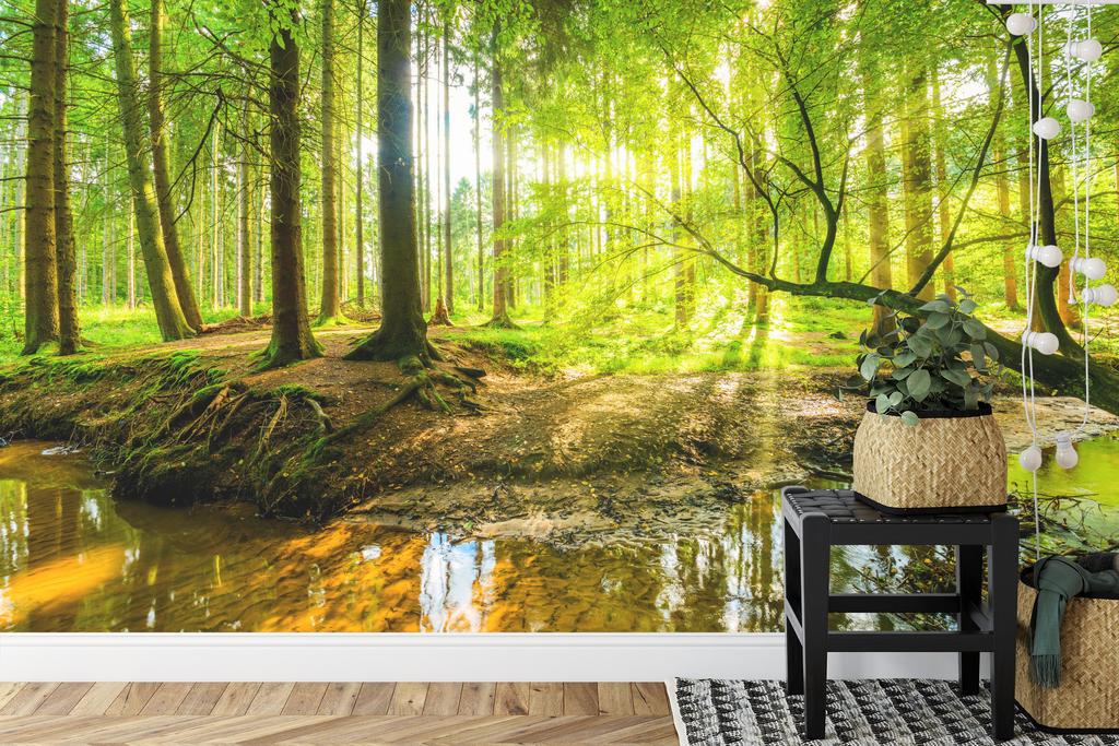 Photomural Beautiful Forest Landscape In Spring In 3D Effect Structural Vinyl 416x254