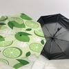 1PC Lime Flower Automatic Open/Close Umbrella with Windproof, 8-Rib Sturdy Canopy, Durable Ribs, Fashionable Design1299A