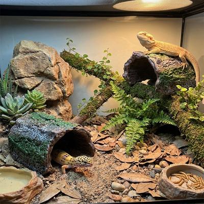 Flucht Höhle Reptil Versteck Simulation Reptil Höhle Eidechse Versteck Unterschlupf Haustier Zucht