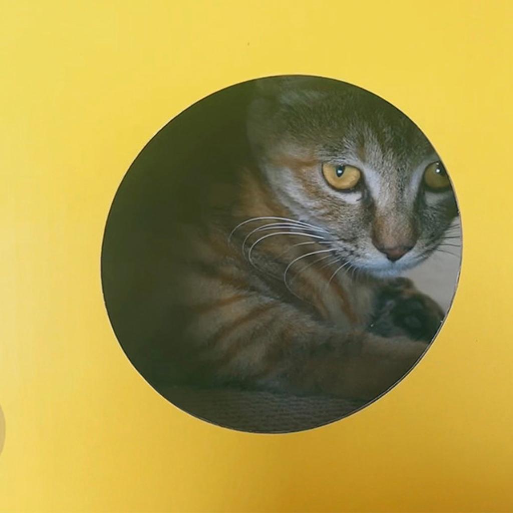 Cheese Shape Cat Scratch House Cardboard Cat Scratcher House Interesting Cat Hiding House for