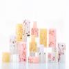 Elegant Frosted Translucent Square Lipstick Tube - Chinese Style 3D Printed Magpie Floral Design, 12.1g