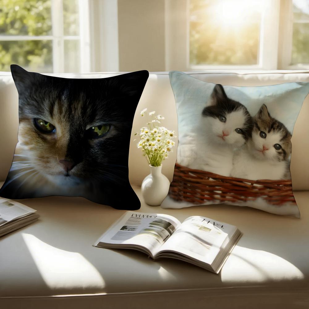 Cute Cats photograph Cushion Cover Pillowcase Antidustmite Invisible Zipper Short Plush Sofa Cushion