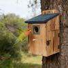 Durable Wooden Bird Shelter For Outdoor Use Featuring Viewing Panel And Safety Feature