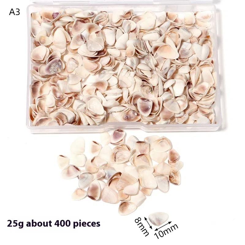 1 Box Sea Shells Spiral Shell Tiny Ocean Spiral Seashells Crafts Aquarium Decor Landscaping Accessories