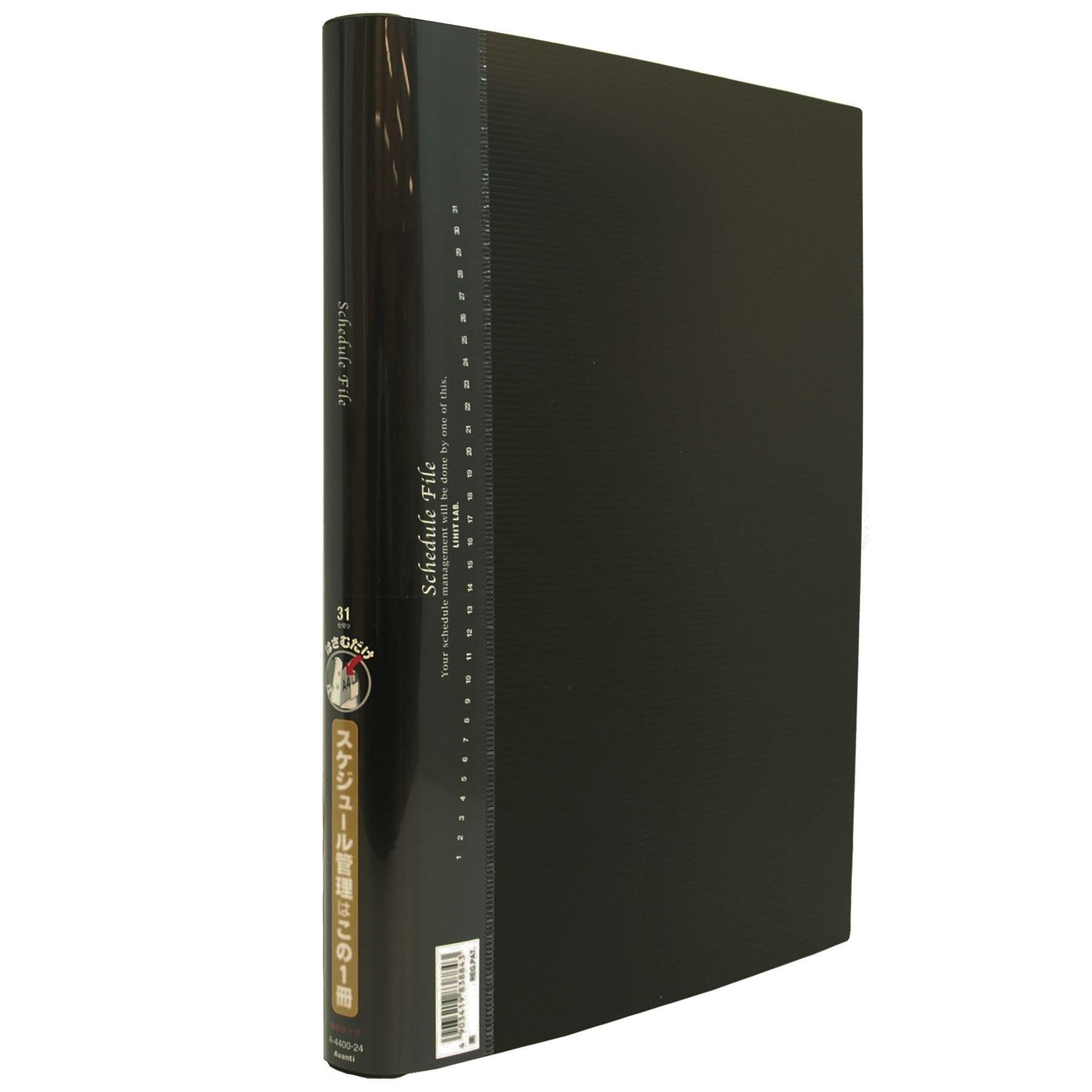

LIHIT LAB Schedule File, 31 Compartments, A4, Black, A4400-24