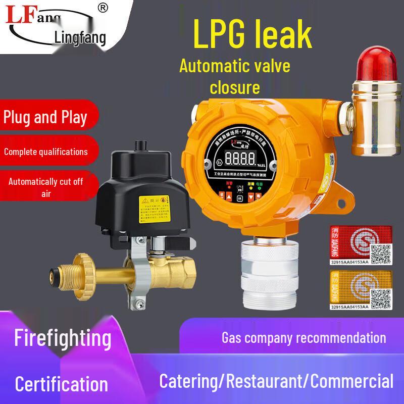 LFang GTY-PLT219 Industrial Combustible Gas Alarm