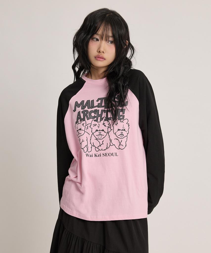 WAIKEI Maltese Archive Line Graphic Raglan Long Sleeve T-Shirt Pink