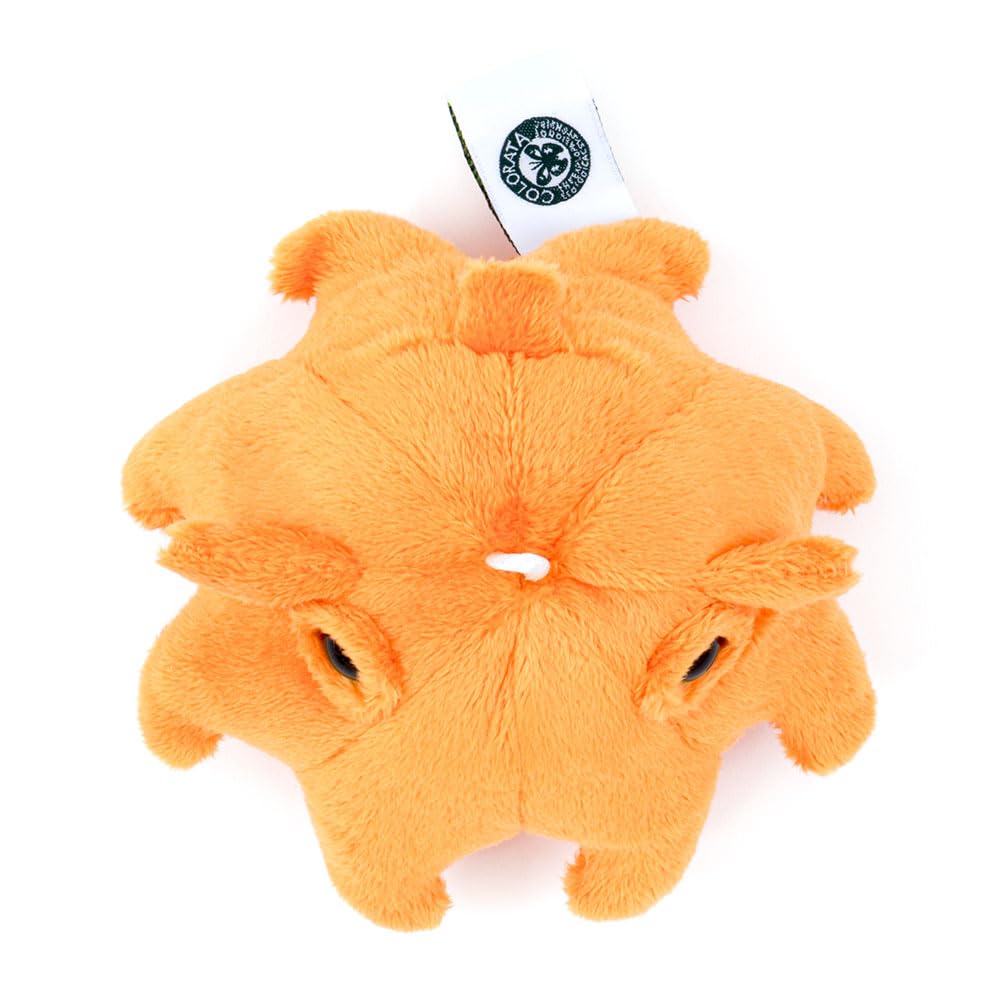 [COLORATA] Calorata Plush Mascot Octopus (Realistic Deep-Sea CreatureWith Chain) Keychain Doll Gift (Twice Tested)  Christmas Present