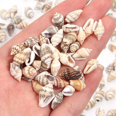 30g/lot 7-12mm Flower Snail Shell Shape Beads For Jewelry Making Loose Conch Pendant Beads DIY Necklace Phone Chains Accessories