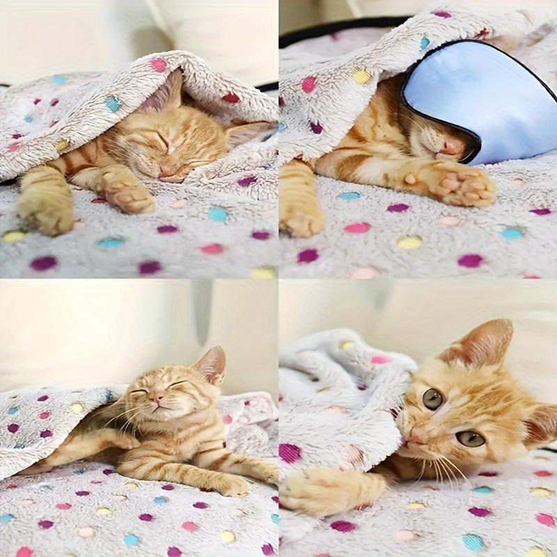 1 Pack Pet Warm And Comfortable Blanket, Fluffy And Soft Light Brown Dot Pattern Blanket