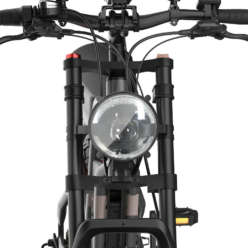 Electric Bicycle Fafrees F20 Ultra 20" Fat Tire 750W Motor Dual Hydraulic Brake 48V 25AH All Terrain Adult Electric Bike 7 Speed
