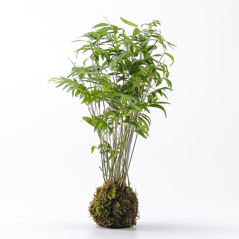 Eco Tank Pottery Jar: Ancient Flow Filtration Ornament for Oxygenating Fish, Courtyard Landscaping, and Fountain Decoration.