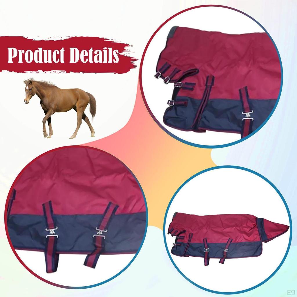 Häst Vinter Utomhustäcke 600D Oxford med Huva Hållbar Vattentät Ridning
