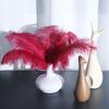 25-30cm Large Ostrich Feather for Wedding Bouquet or Photo Decoration