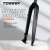 TOSEEK Matte 3K Carbon Faser Mountainbike Gabel 1-1/8" Starre Scheibenbremse MTB Fahrrad Gabeln 26/27,5/29er Gerade Rohr 28,6mm