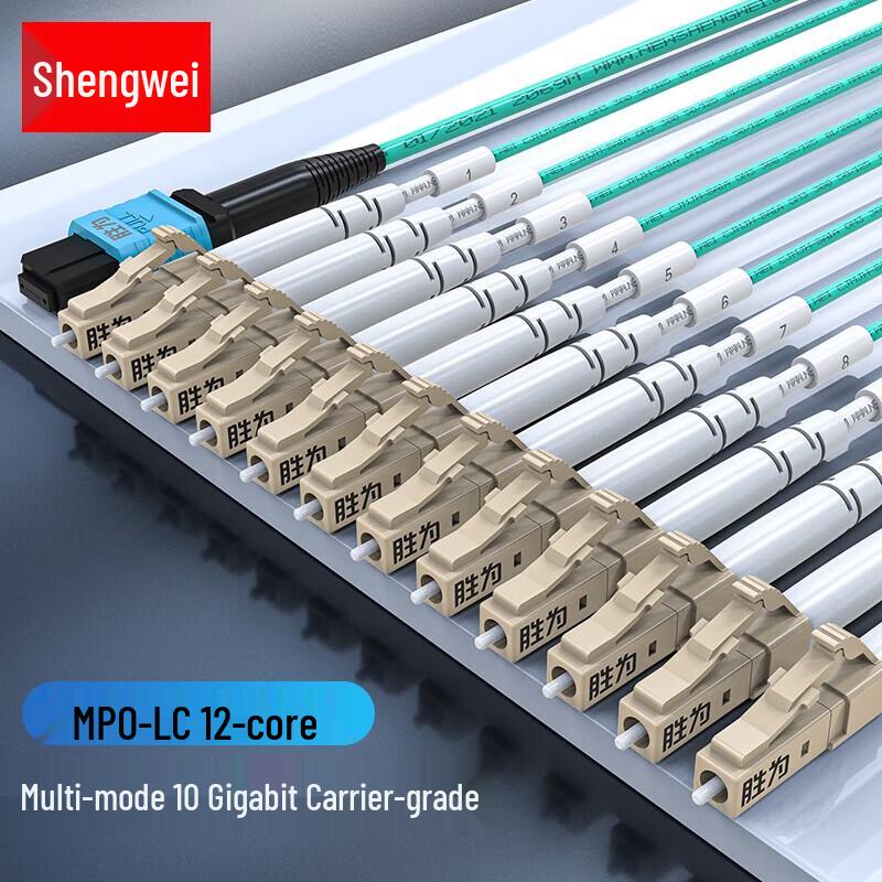 

Shengwei MPO-LC 12-Core OM4 Multimode Fiber Optic Patch Cable