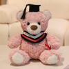 25cm Kawaii Graduation Dr.Bear Plush Toy Cute Christmas Hat Teddy Bear Soft Doll Boys Girls Kids Students Graduation Lovely Gift